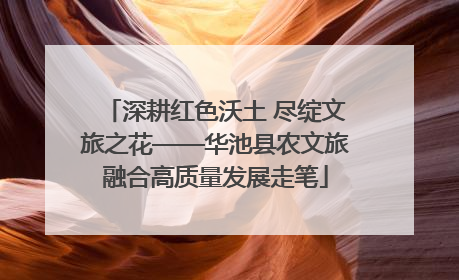 深耕红色沃土 尽绽文旅之花——华池县农文旅融合高质量发展走笔