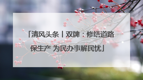 清风头条丨双牌：修缮道路保生产 为民办事解民忧