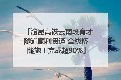 渝昆高铁云南段育才隧道顺利贯通 全线桥隧施工完成超90%