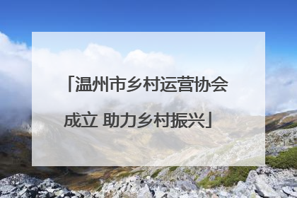 温州市乡村运营协会成立 助力乡村振兴