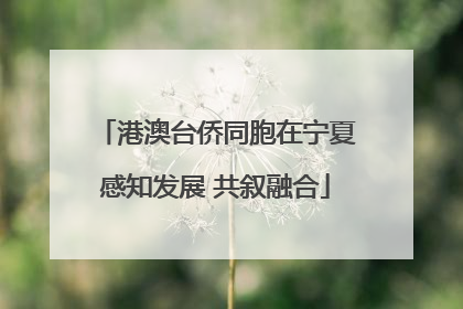 港澳台侨同胞在宁夏感知发展 共叙融合