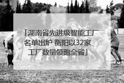 湖南省先进级智能工厂名单出炉 衡阳以32家工厂数量领跑全省