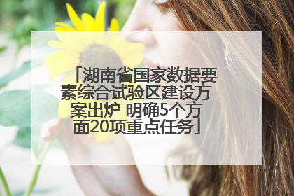 湖南省国家数据要素综合试验区建设方案出炉 明确5个方面20项重点任务