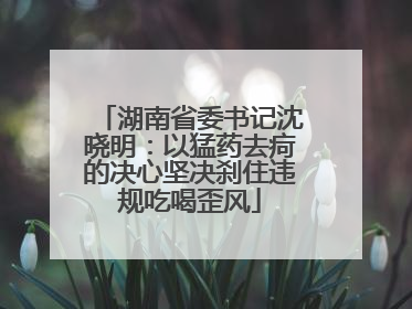 湖南省委书记沈晓明：以猛药去疴的决心坚决刹住违规吃喝歪风