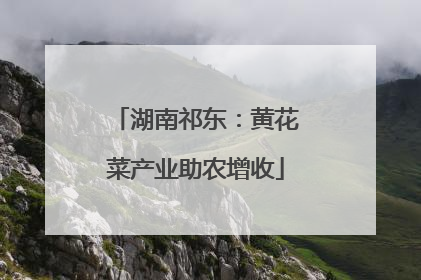 湖南祁东：黄花菜产业助农增收