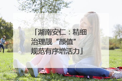 湖南安仁：精细治理靓“颜值” 规范有序增活力