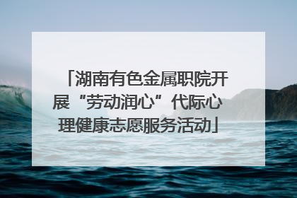 湖南有色金属职院开展“劳动润心”代际心理健康志愿服务活动