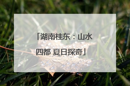 湖南桂东：山水四都 夏日探奇
