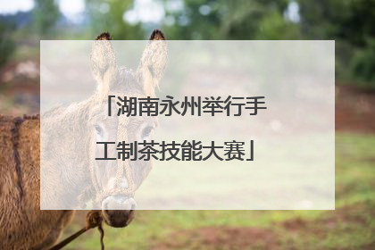 湖南永州举行手工制茶技能大赛