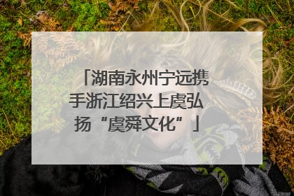 湖南永州宁远携手浙江绍兴上虞弘扬“虞舜文化”