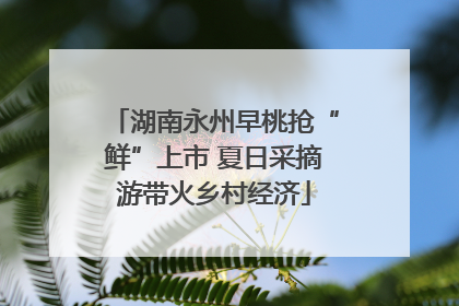 湖南永州早桃抢“鲜”上市 夏日采摘游带火乡村经济