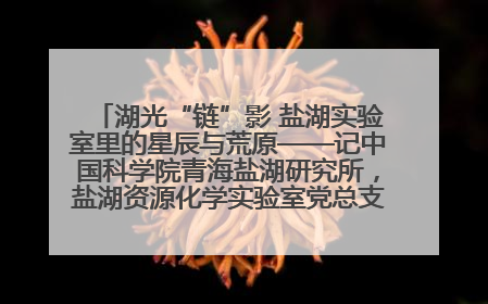 湖光“链”影 盐湖实验室里的星辰与荒原——记中国科学院青海盐湖研究所，盐湖资源化学实验室党总支书记、副主任刘忠