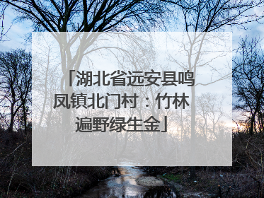 湖北省远安县鸣凤镇北门村：竹林遍野绿生金