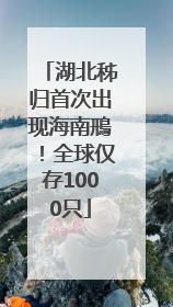 湖北秭归首次出现海南鳽！全球仅存1000只