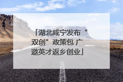 湖北咸宁发布“双创”政策包 广邀英才返乡创业