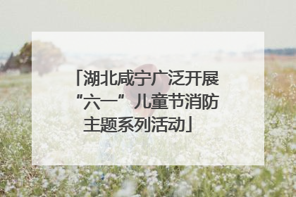 湖北咸宁广泛开展“六一”儿童节消防主题系列活动