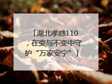 湖北孝感110，在变与不变中守护“万家安宁”