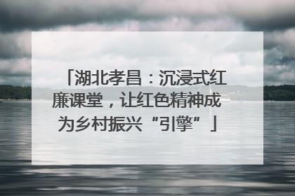 湖北孝昌：沉浸式红廉课堂，让红色精神成为乡村振兴“引擎”