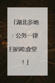 湖北多地：公务一律扫码吃食堂！