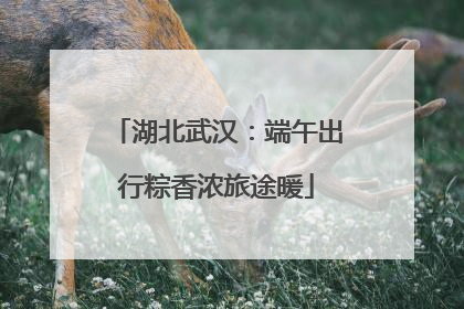 湖北武汉：端午出行粽香浓旅途暖
