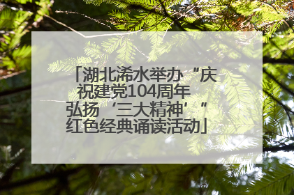 湖北浠水举办“庆祝建党104周年 弘扬‘三大精神’”红色经典诵读活动
