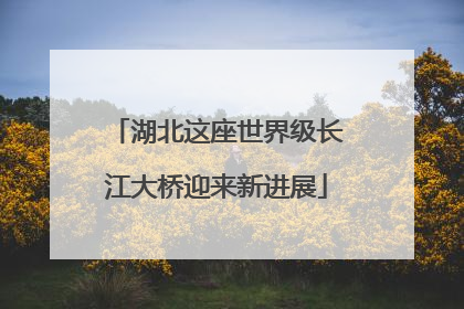 湖北这座世界级长江大桥迎来新进展