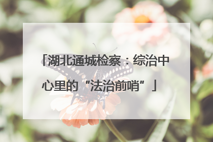湖北通城检察：综治中心里的“法治前哨”
