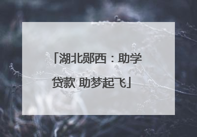 湖北郧西：助学贷款 助梦起飞