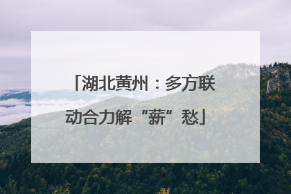 湖北黄州：多方联动合力解“薪”愁