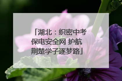 湖北：织密中考保电安全网 护航荆楚学子逐梦路