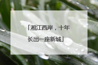 湘江西岸，十年长出一座新城