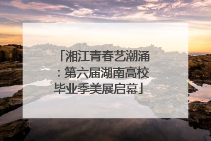 湘江青春艺潮涌：第六届湖南高校毕业季美展启幕