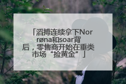 滔搏连续拿下Norrøna和soar背后，零售商开始在垂类市场“捡黄金”