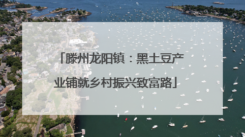 滕州龙阳镇：黑土豆产业铺就乡村振兴致富路