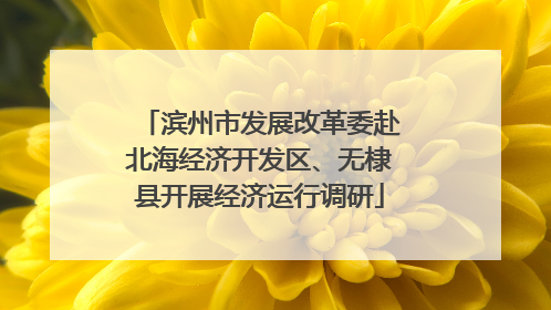 滨州市发展改革委赴北海经济开发区、无棣县开展经济运行调研