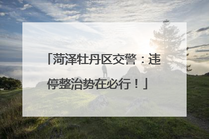 菏泽牡丹区交警：违停整治势在必行！