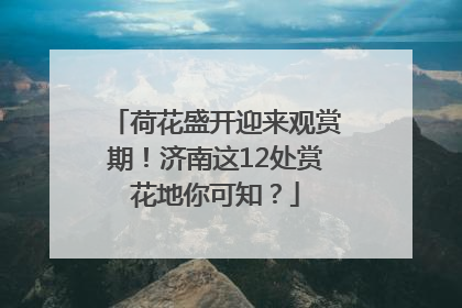 荷花盛开迎来观赏期！济南这12处赏花地你可知？