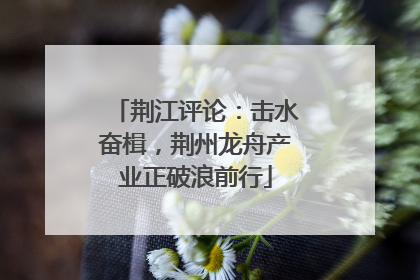荆江评论：击水奋楫，荆州龙舟产业正破浪前行