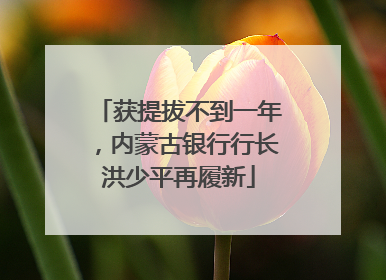 获提拔不到一年，内蒙古银行行长洪少平再履新