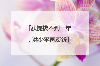 获提拔不到一年，洪少平再履新