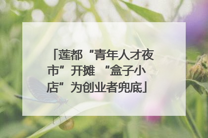 莲都“青年人才夜市”开摊 “盒子小店”为创业者兜底