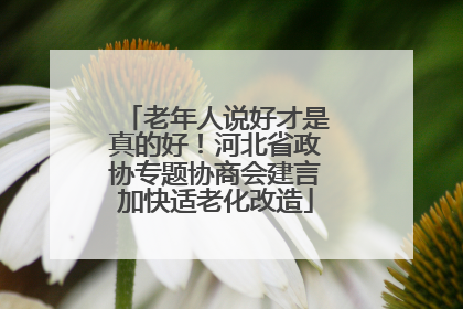 老年人说好才是真的好！河北省政协专题协商会建言加快适老化改造
