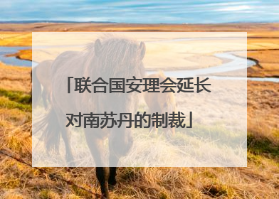 联合国安理会延长对南苏丹的制裁