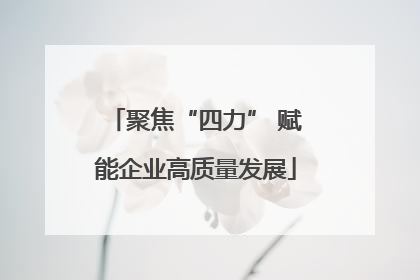 聚焦“四力” 赋能企业高质量发展