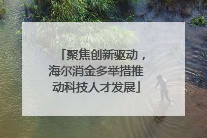 聚焦创新驱动，海尔消金多举措推动科技人才发展