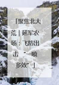 聚焦北大荒｜延军农场：飞防出击 “一喷多效”