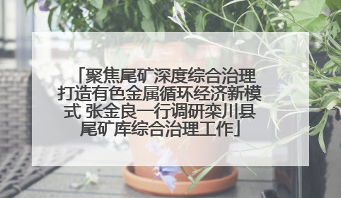 聚焦尾矿深度综合治理 打造有色金属循环经济新模式 张金良一行调研栾川县尾矿库综合治理工作