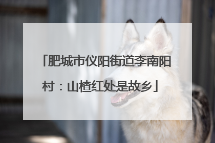 肥城市仪阳街道李南阳村：山楂红处是故乡