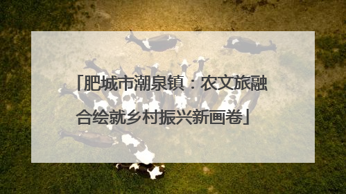 肥城市潮泉镇：农文旅融合绘就乡村振兴新画卷