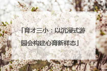 育才三小：以沉浸式游园会构建心育新样态